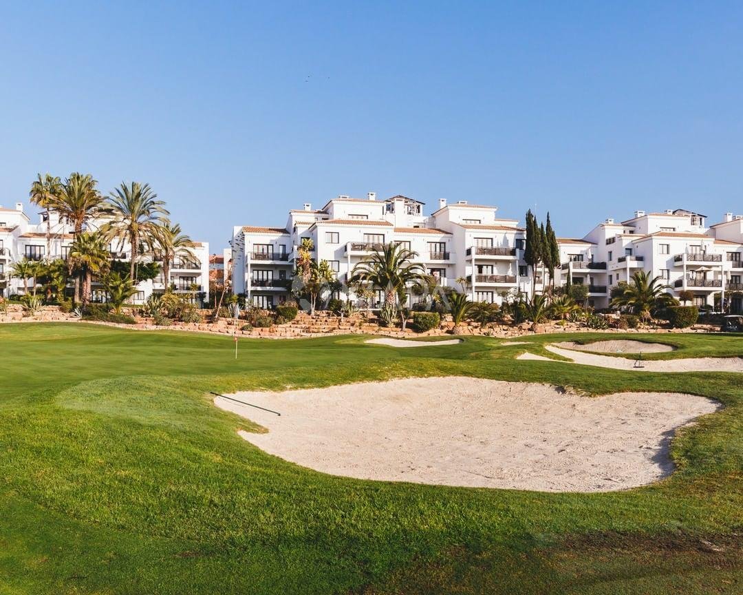 pinecliffs_20200728_112603