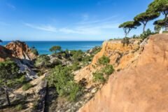 pinecliffs_20200728_112823