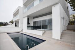 Almenda Peagassus, 118 lote 26 (14)